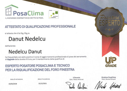 DANIEL NEDELCU
